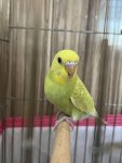 IMG_1331.jpeg
