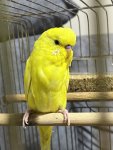 IMG_1336.jpeg
