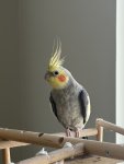 IMG_3224.jpeg