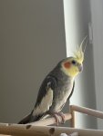IMG_3228.jpeg