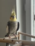 IMG_3225.jpeg