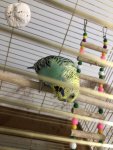 IMG_0788.jpeg