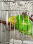 IMG_20260805_081820.jpg