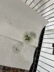 IMG_8777.jpeg