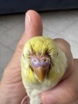 IMG_8158.jpeg