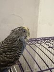 IMG_3900.jpeg