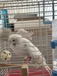 IMG_0202.jpeg