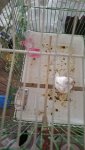 20260807_125656.jpg