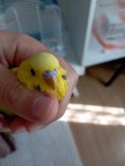 IMG_20260807_155527.jpg