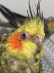 IMG_4658.jpeg