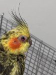 IMG_4655.jpeg