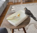 IMG_20260809_201208.jpg