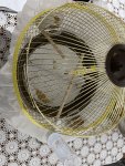 IMG_2225.jpeg
