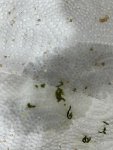 IMG_8811.jpeg