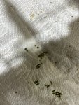 IMG_8809.jpeg