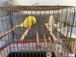 IMG_1440.jpeg