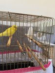 IMG_1439.jpeg