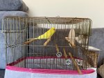 IMG_1438.jpeg