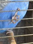 IMG_0453.jpeg