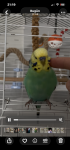 IMG_6123.png