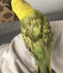 IMG_6468.jpeg