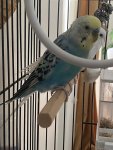 IMG_5737.jpeg