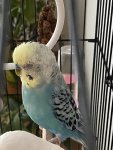 IMG_5741.jpeg