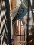 IMG_5742.jpeg