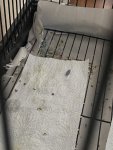 IMG_5743.jpeg