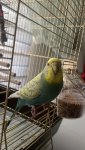 IMG_8049.jpeg