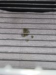 IMG_1748.jpeg