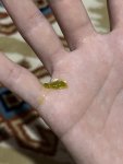 IMG_1750.jpeg