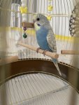 IMG_2210.jpeg