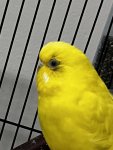 IMG_0475.jpeg