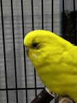 IMG_0473.jpeg