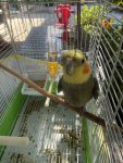 IMG_3879.jpeg