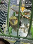 IMG_3882.jpeg