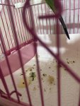 IMG_4808.jpeg