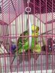 IMG_4783.jpeg