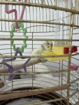 IMG_8421.jpeg