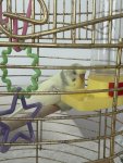 IMG_8422.jpeg