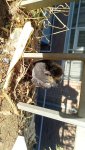 IMG-20260815-WA0047.jpeg