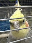 IMG_3787.jpeg