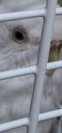 20260816_010313.jpg