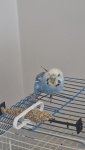 20260816_131525.jpg