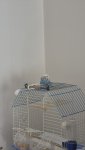 20260816_131459.jpg