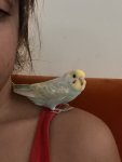 IMG_0832.jpeg