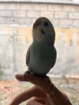 IMG_0804.jpeg