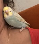 IMG_0833.jpeg