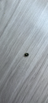 IMG_7838.png